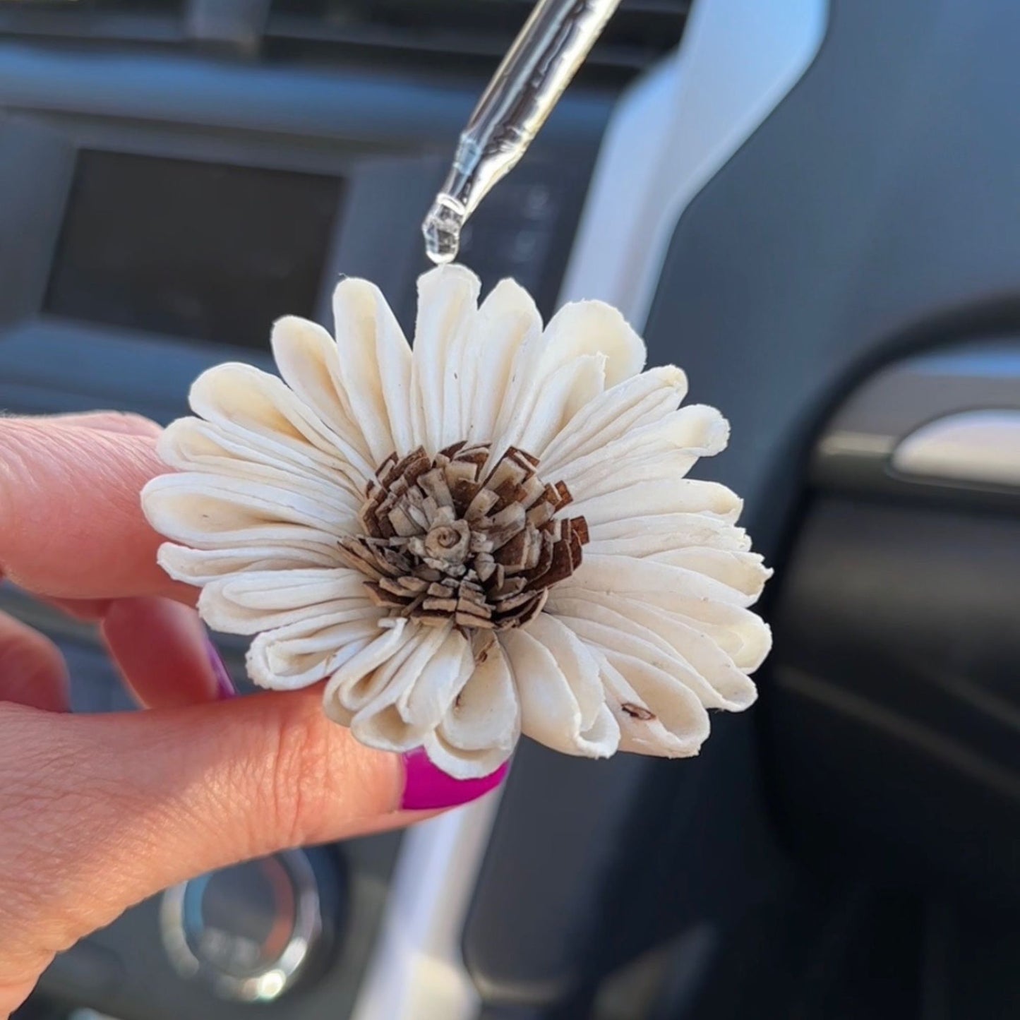 Desire Car Freshener Air Vent Clip